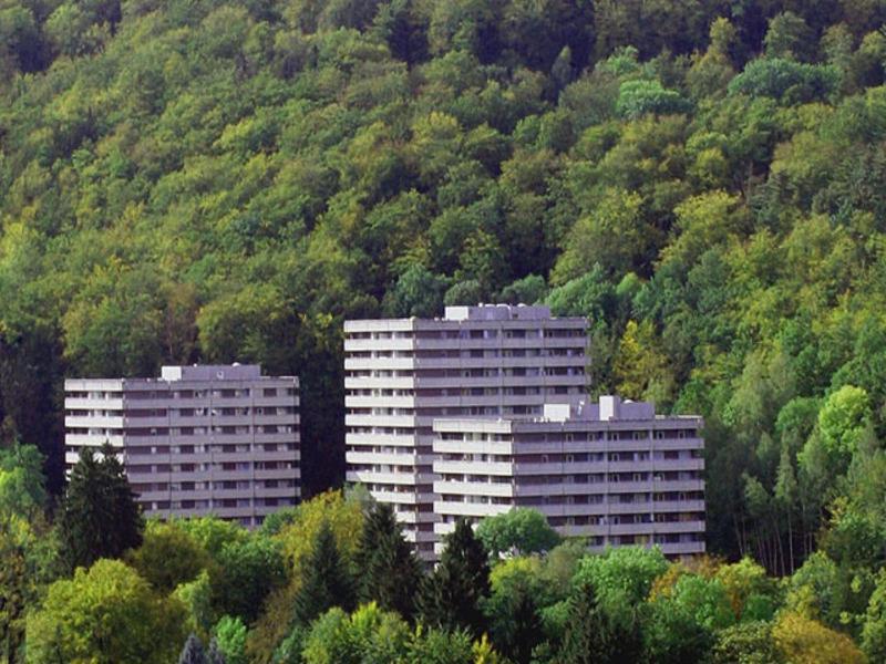 Waldoase I - Fewo mit Schwimmbad, Sauna und WLAN Bad Harzburg Exterior foto
