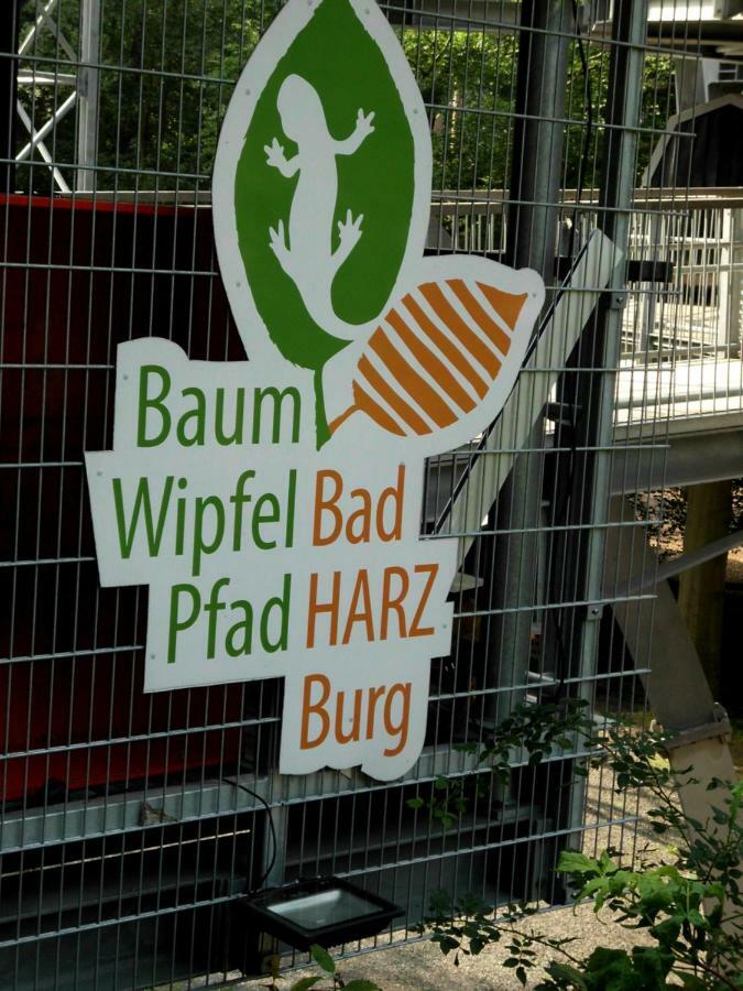 Waldoase I - Fewo mit Schwimmbad, Sauna und WLAN Bad Harzburg Exterior foto